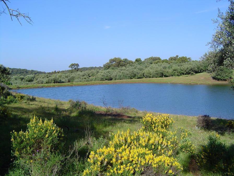 קזאיה דה לה סיירה Las Navezuelas מראה חיצוני תמונה